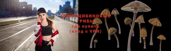 твердый Баксан