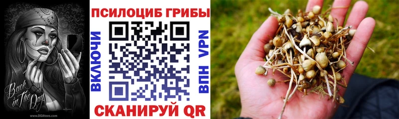hydra рабочий сайт  Бикин  Псилоцибиновые грибы Psilocybine cubensis  магазин   